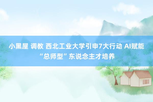 小黑屋 调教 西北工业大学引申7大行动 AI赋能“总师型”东说念主才培养