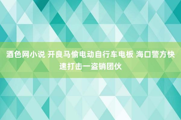 酒色网小说 开良马偷电动自行车电板 海口警方快速打击一盗销团伙