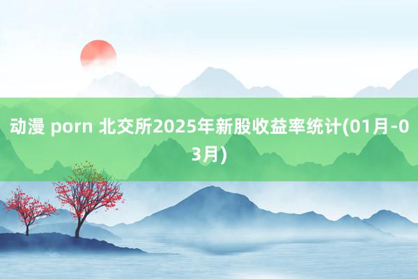 动漫 porn 北交所2025年新股收益率统计(01月-03月)