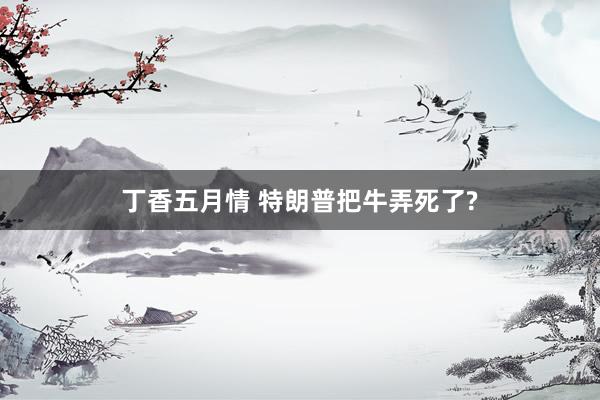 丁香五月情 特朗普把牛弄死了?