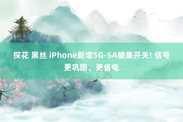 探花 黑丝 iPhone新增5G-SA辘集开关! 信号更巩固、更省电