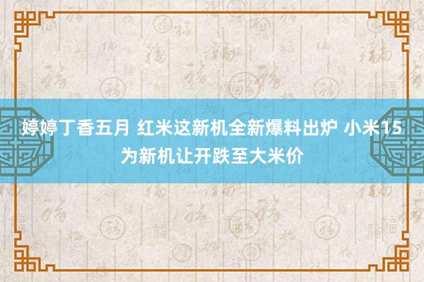 婷婷丁香五月 红米这新机全新爆料出炉 小米15为新机让开跌至大米价