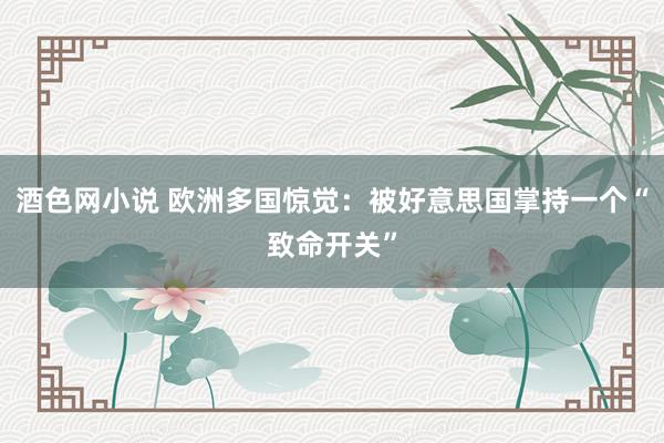 酒色网小说 欧洲多国惊觉：被好意思国掌持一个“致命开关”