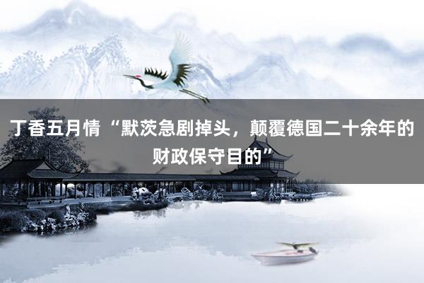 丁香五月情 “默茨急剧掉头，颠覆德国二十余年的财政保守目的”