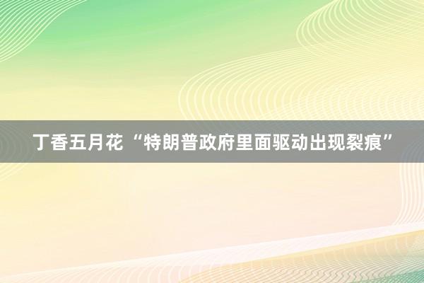 丁香五月花 “特朗普政府里面驱动出现裂痕”