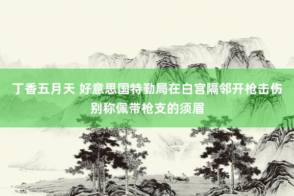 丁香五月天 好意思国特勤局在白宫隔邻开枪击伤别称佩带枪支的须眉