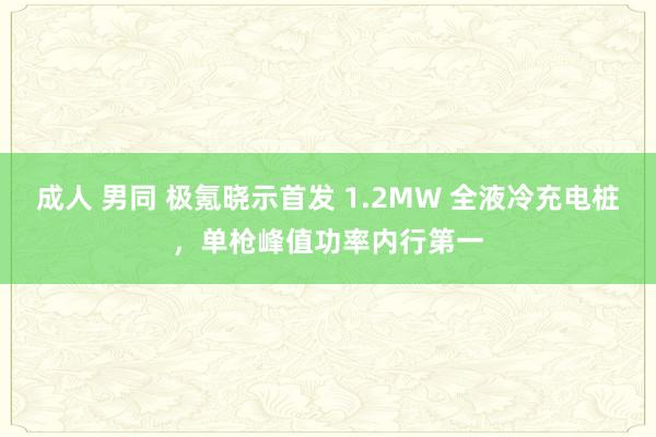 成人 男同 极氪晓示首发 1.2MW 全液冷充电桩，单枪峰值功率内行第一
